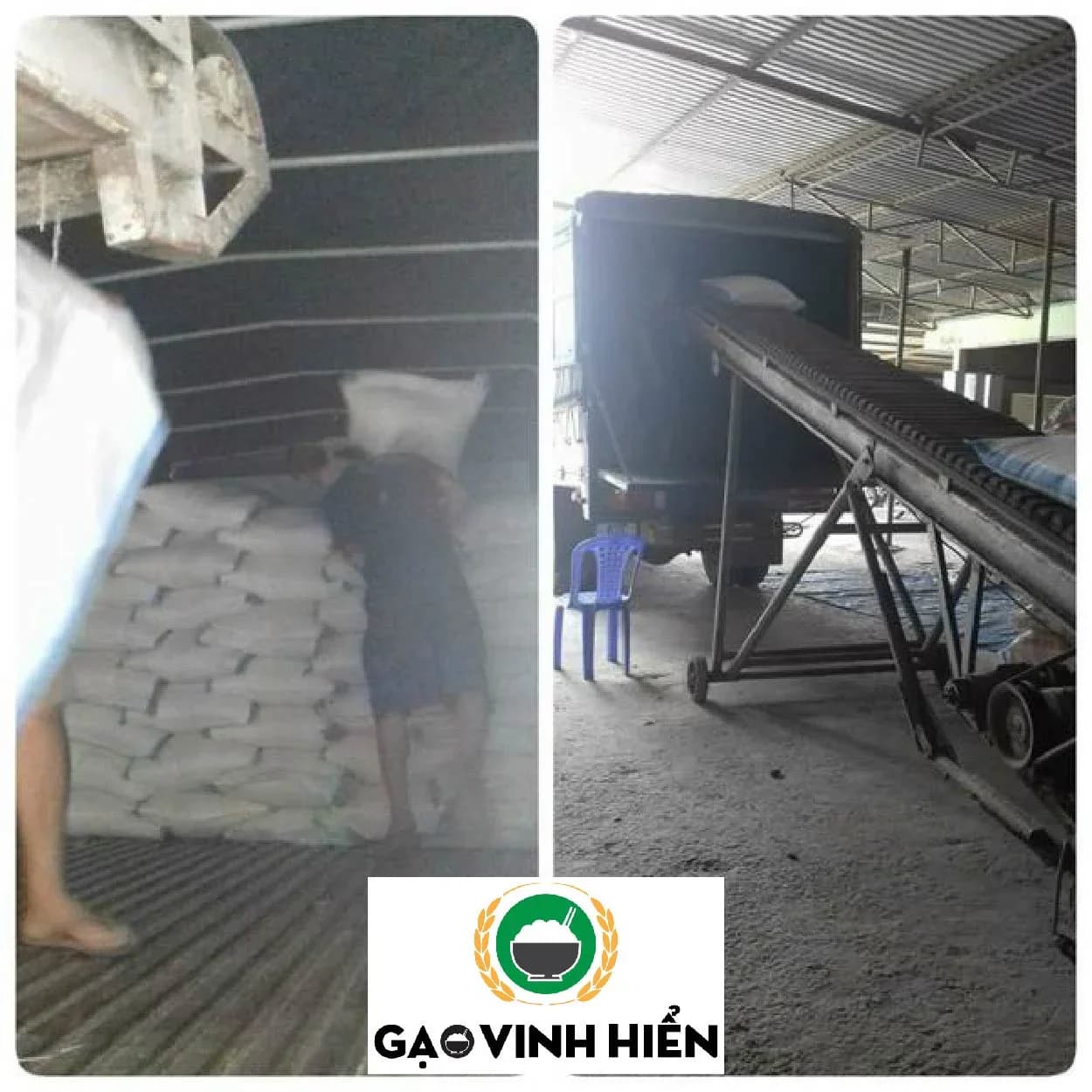 Cung cấp gạo cho đại lý gạo Hoàng Hoa Thám, TP. HCM