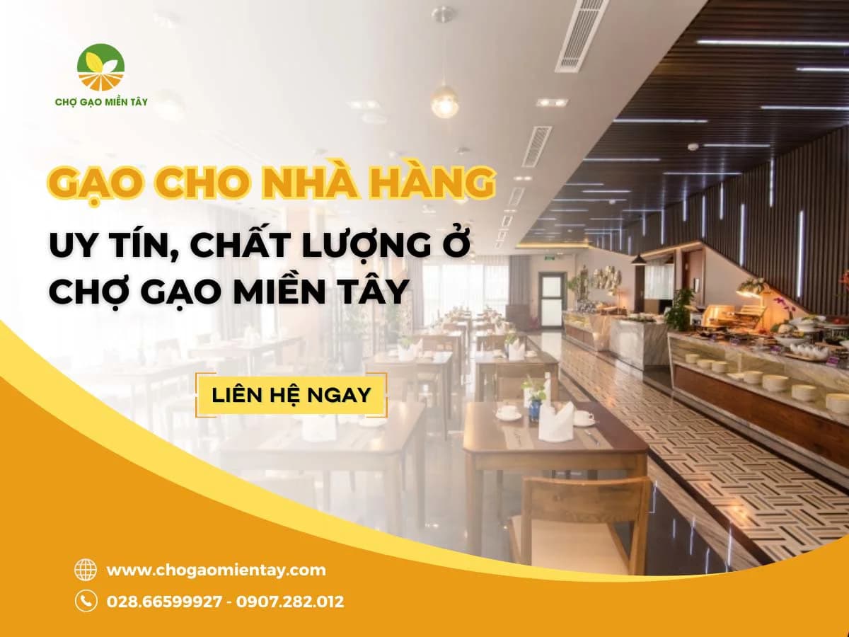Nguồn bán gạo cung cấp gạo nhà hàng khách sạn uy tín chất lượng