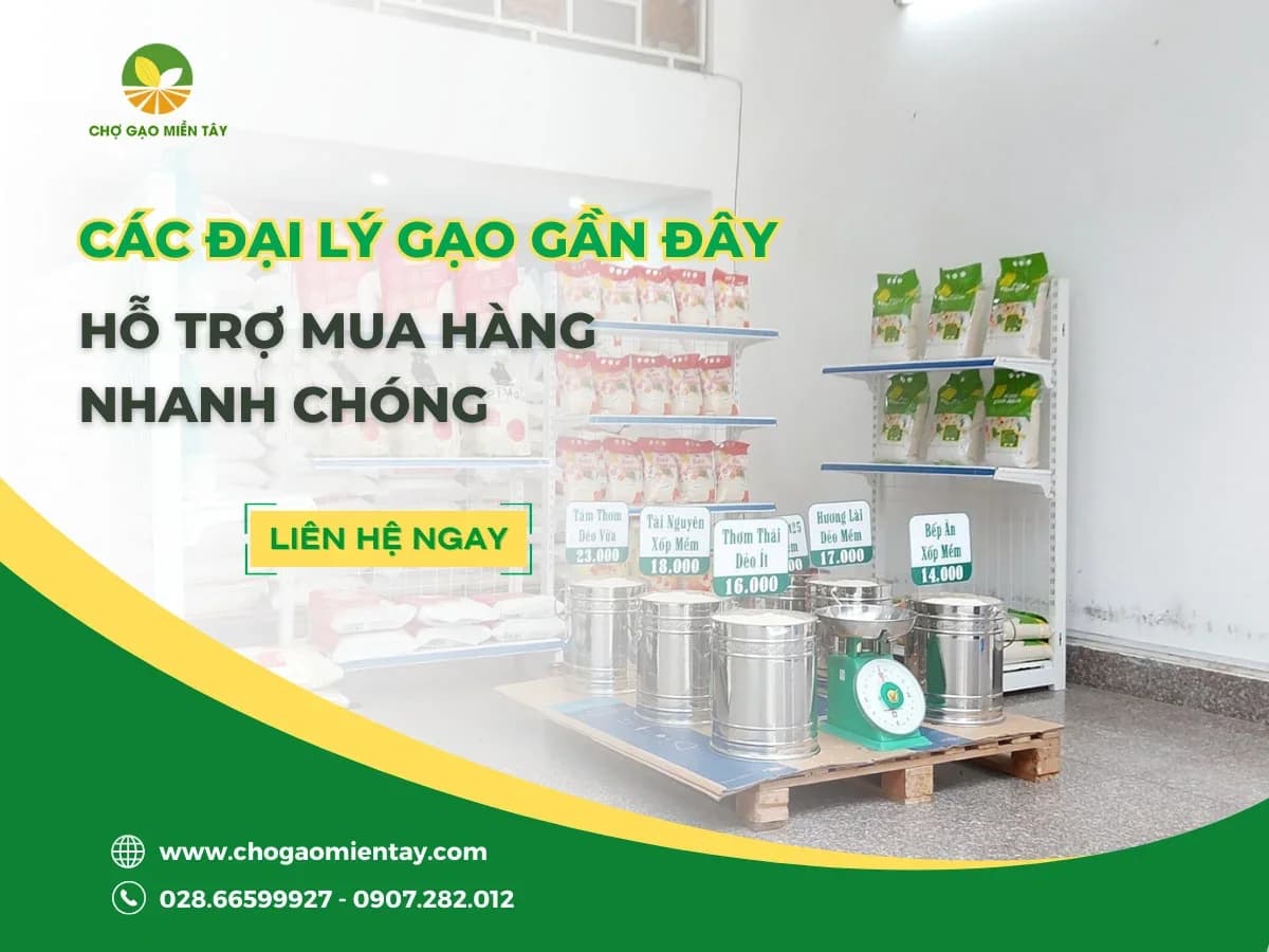 Đại lý gạo gần đây nhất, vựa gạo sỉ và lẻ giá rẻ tại TPHCM