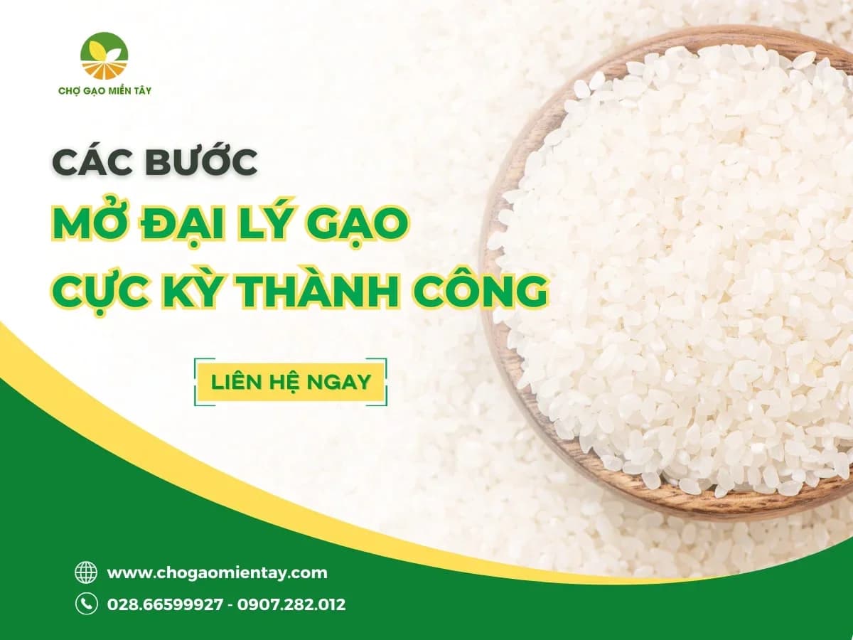 Mở đại lý gạo cần những gì? Hướng dẫn cách mở đại lý gạo