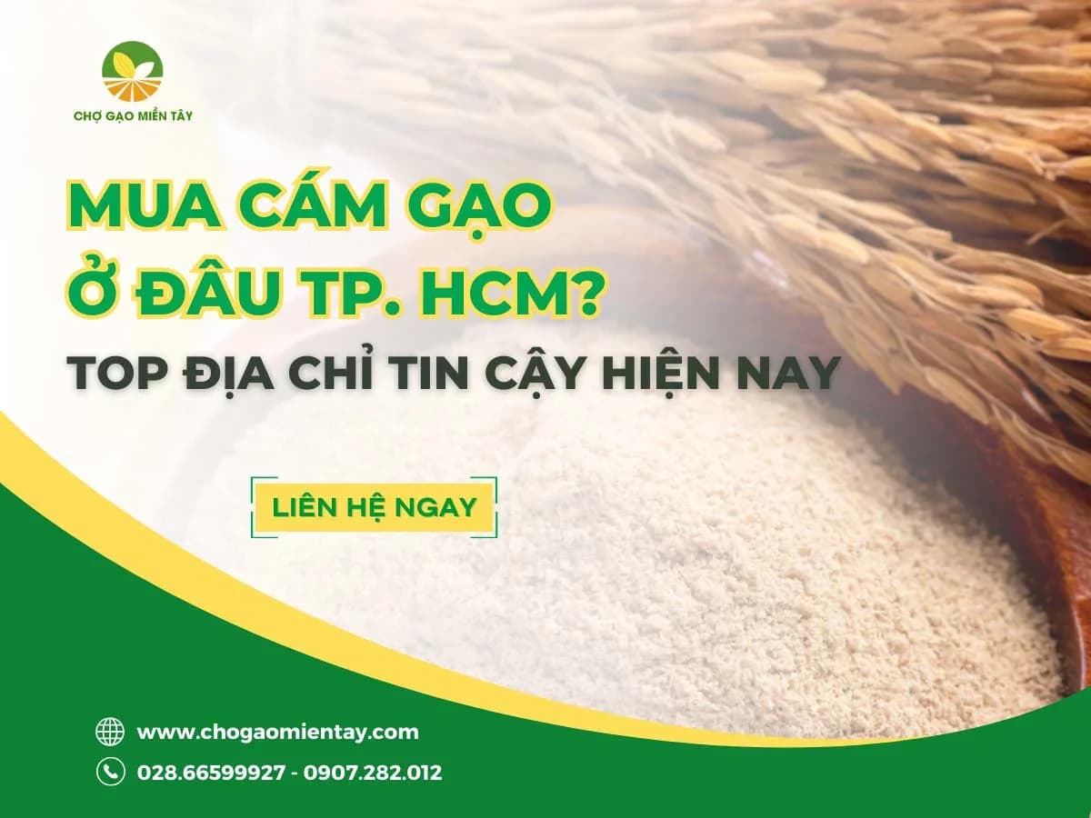 Mua cám gạo ở đâu TPHCM? Top địa chỉ tin cậy năm 2023
