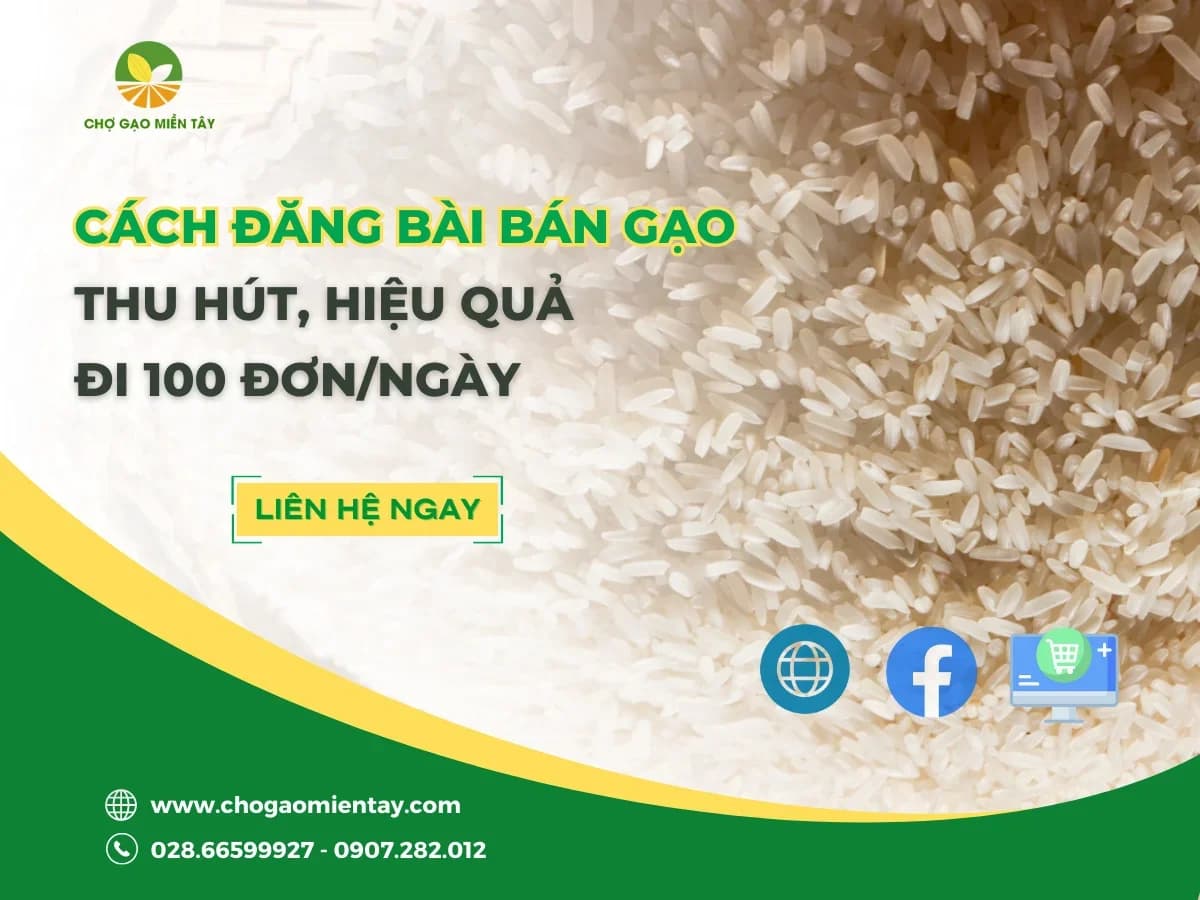 Cách đăng bài bán gạo, tuyệt chiêu kinh doanh gạo 100 đơn/ngày