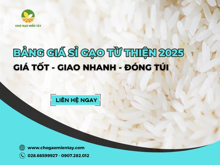 Bảng Giá Sỉ Gạo Từ Thiện 2025 - Đóng Túi 5kg 10kg - Giao Hành Nhanh