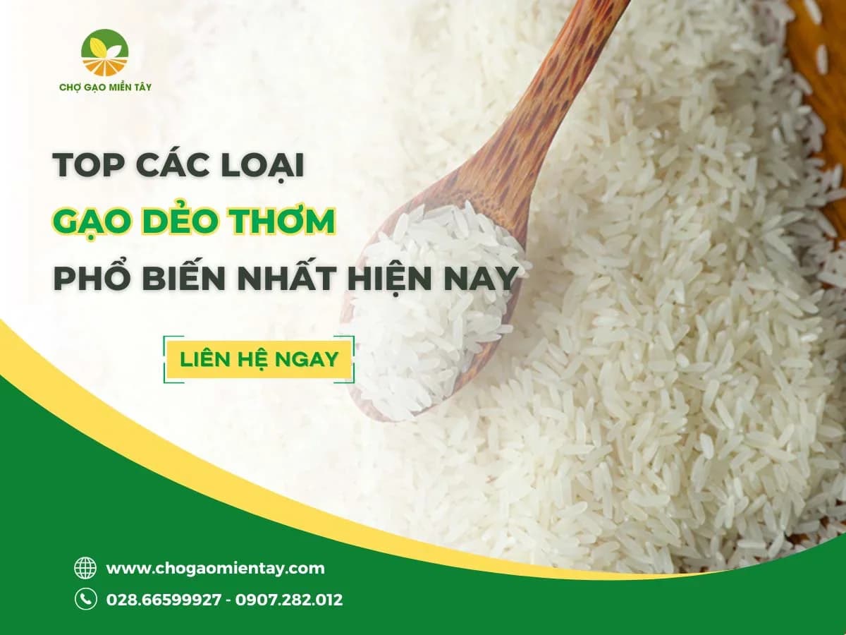 Top 12 gạo dẻo thơm được người Việt Nam lựa chọn