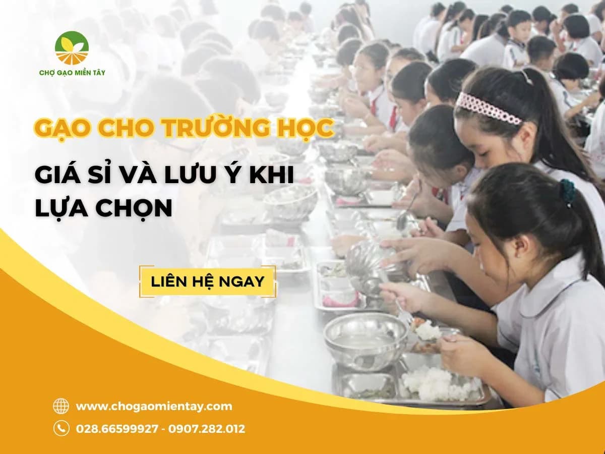 Nguồn cung cấp gạo cho trường học, căn tin giá sỉ chất lượng