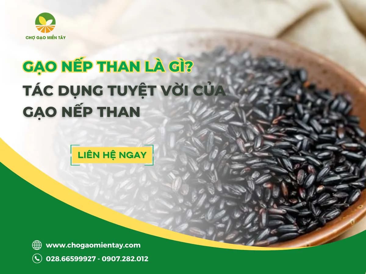 Gạo nếp than là gì? Lợi ích tuyệt vời của gạo nếp than đen
