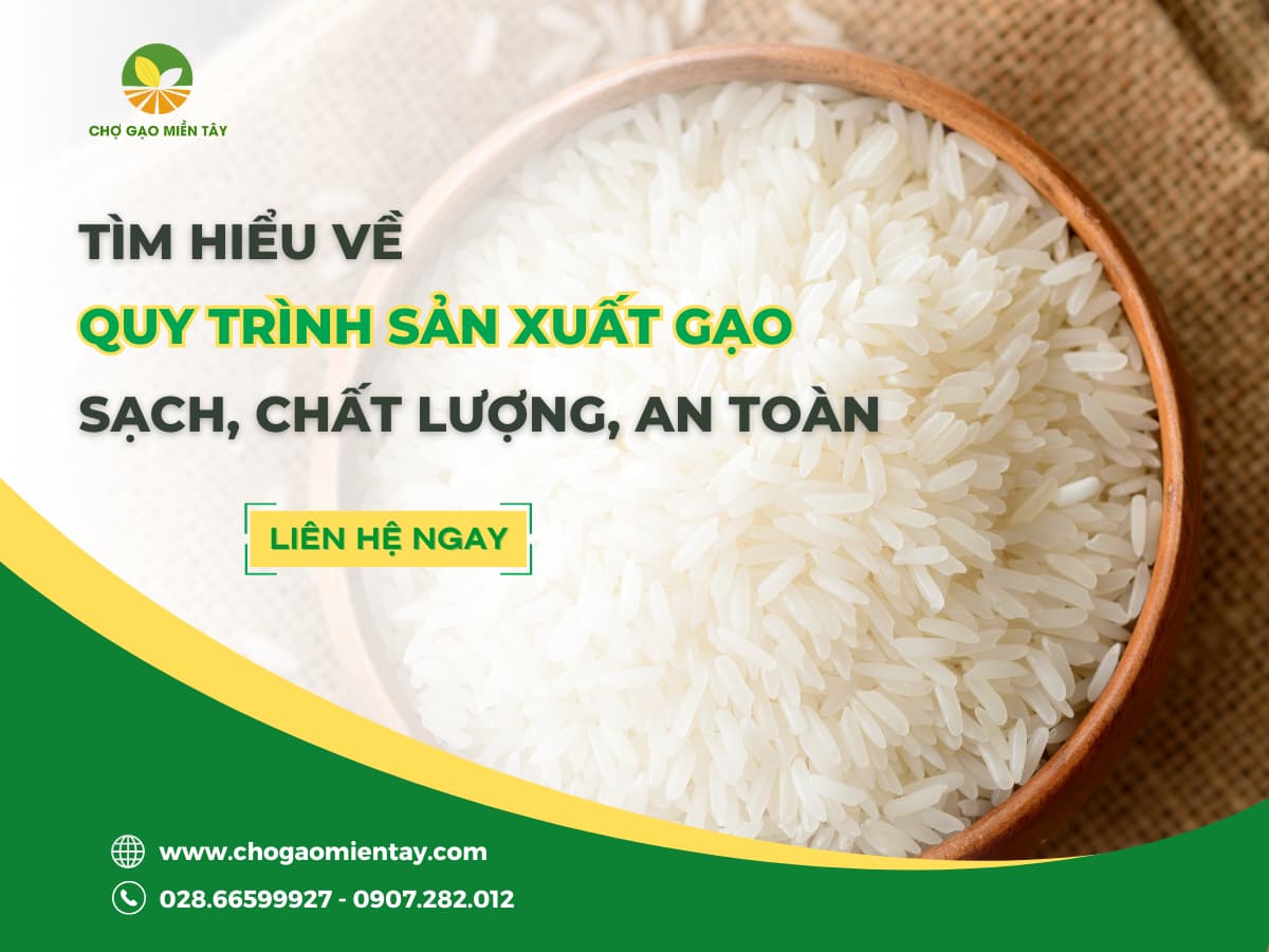 Quy trình sản xuất gạo sạch chất lượng và an toàn