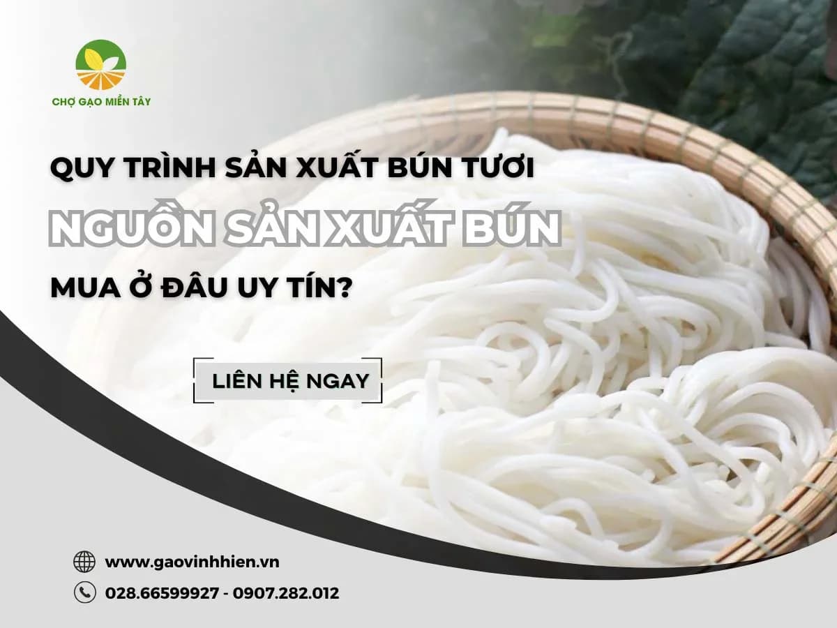 Nguồn sản xuất bún xuất khẩu uy tín Chợ Gạo Miền Tây