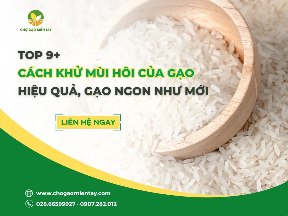 Cách khử mùi hôi của gạo, gạo bị mốc hiệu quả