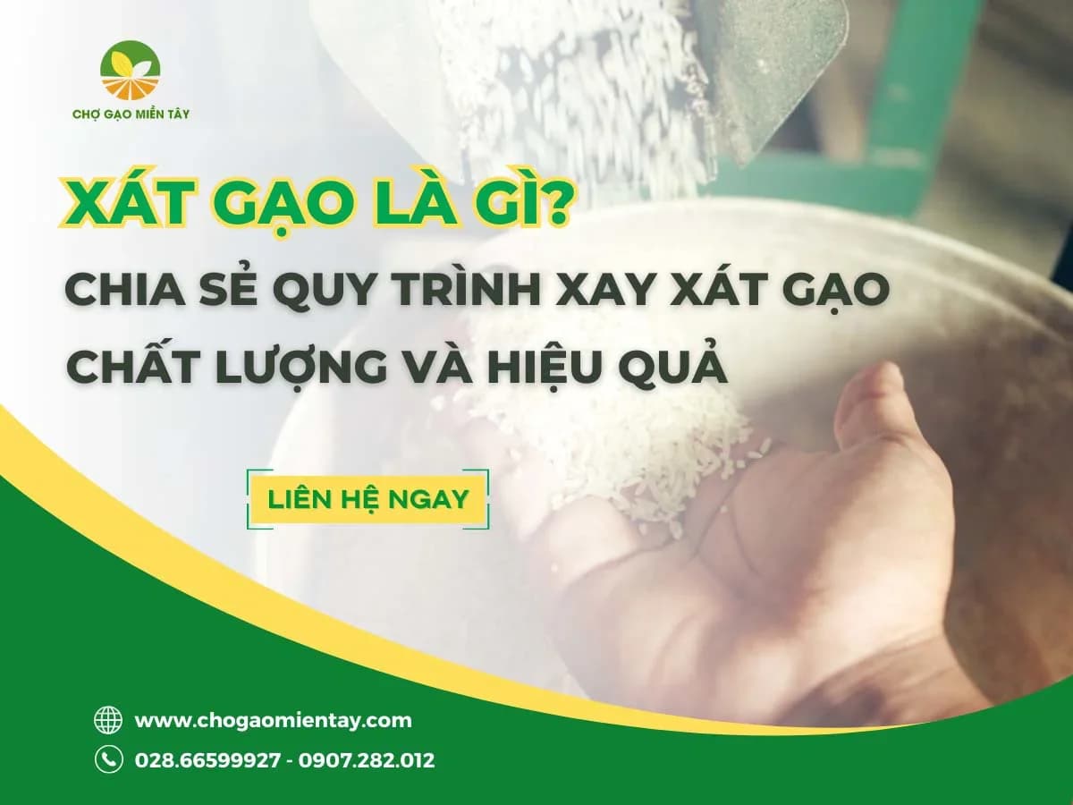 Thế nào là xát trắng hạt gạo? Quy trình xay xát gạo đúng cách