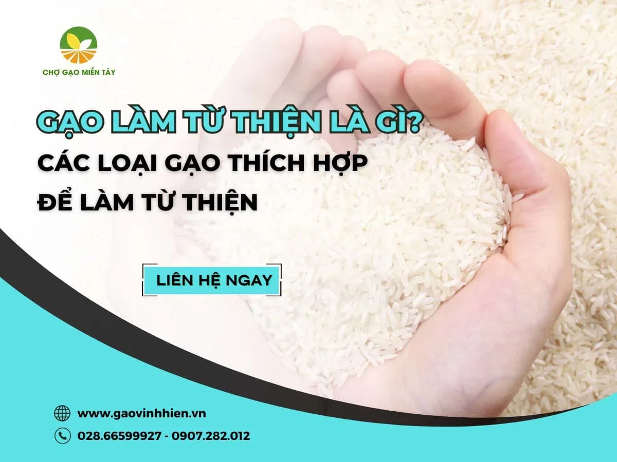 Cung cấp gạo từ thiện giá sỉ, thơm ngon uy tín tại TP. HCM