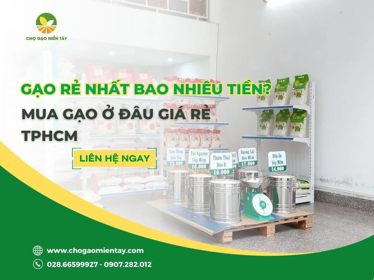 Gạo rẻ nhất bao nhiêu tiền?