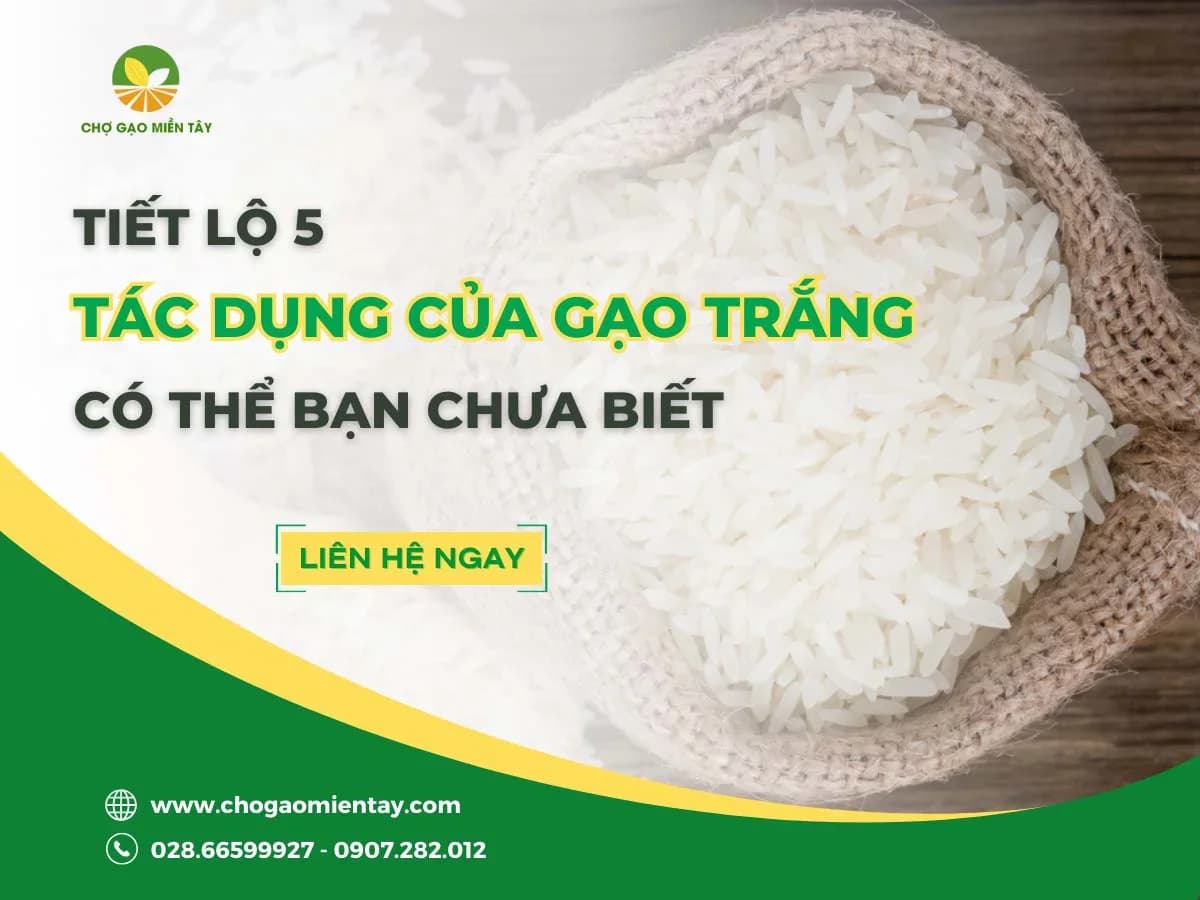 Tiết lộ 5 tác dụng của gạo trắng có thể bạn chưa biết