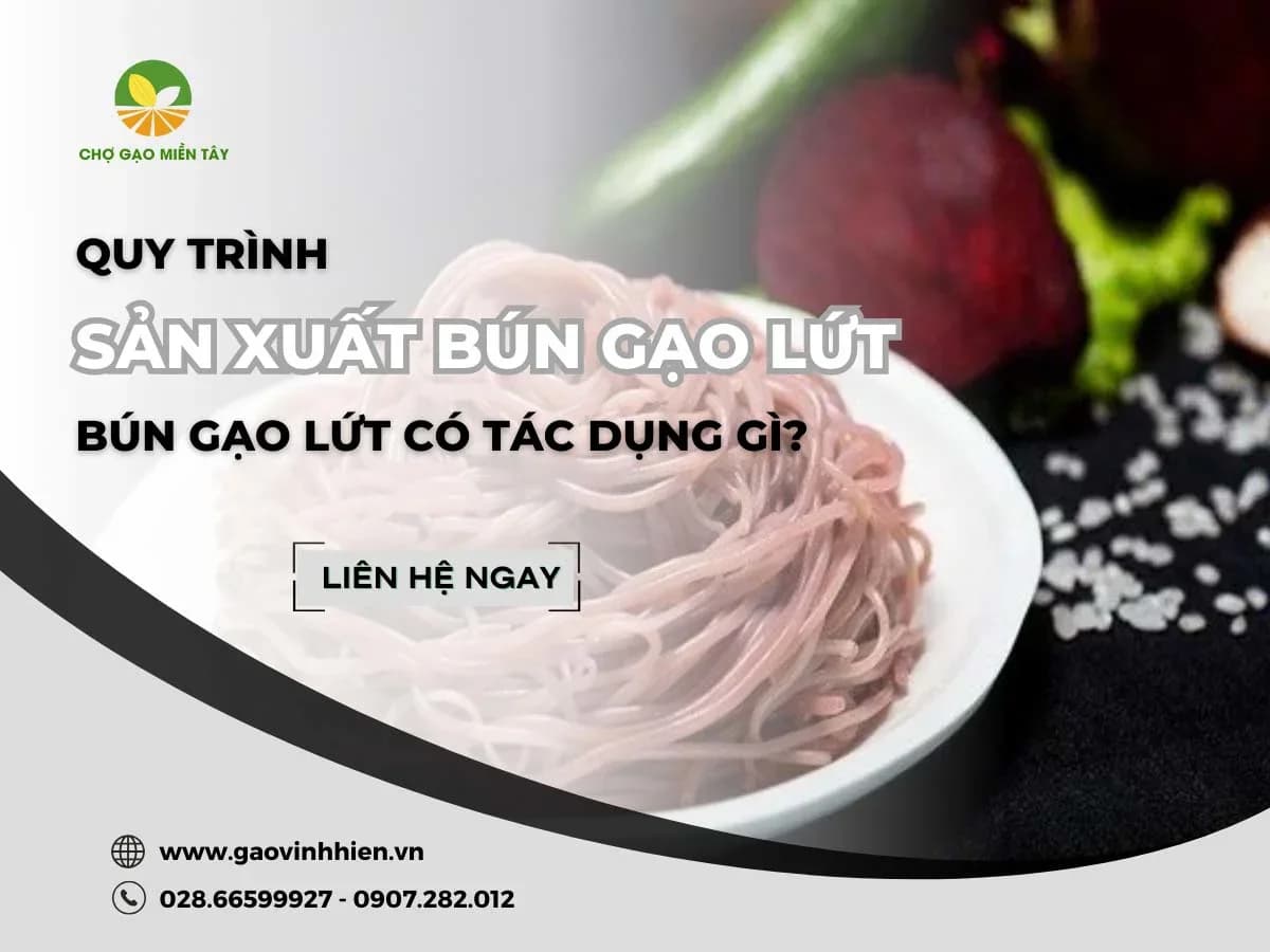 Quy trình sản xuất bún gạo lứt như thế nào? Bún gạo lứt có tác dụng gì?