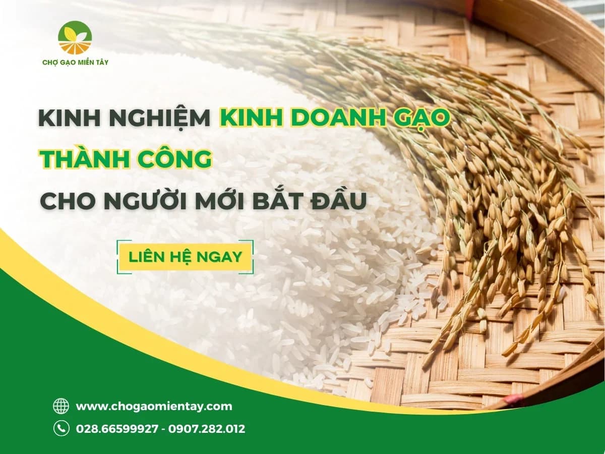 Kinh nghiệm kinh doanh gạo thành công cho người mới bắt đầu