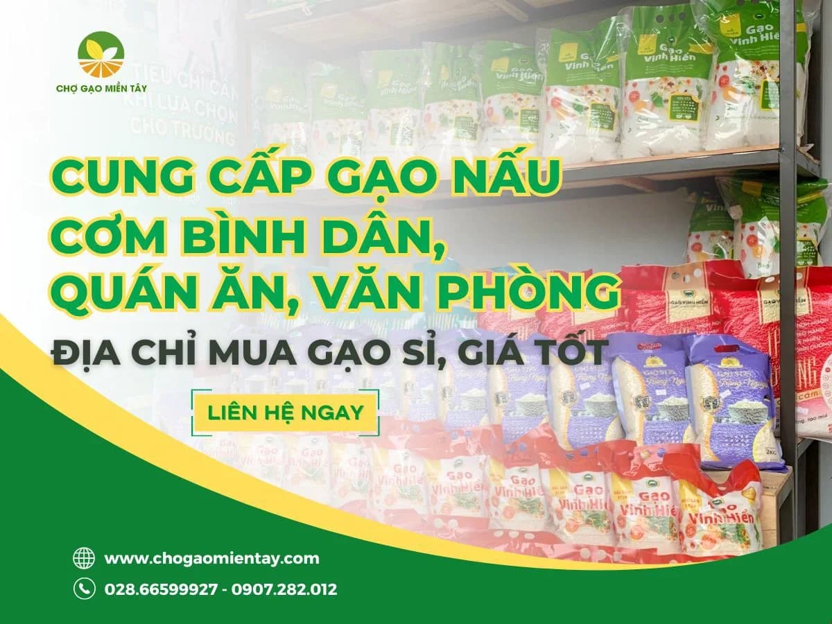 Cung cấp gạo nấu cơm bình dân, quán ăn, văn phòng giá hợp lý