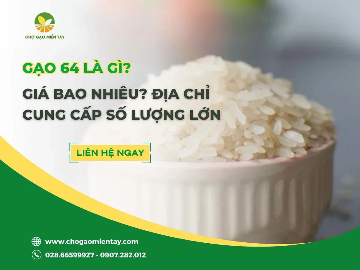 Gạo 64 Long An và gạo dẻo 64 có phải là một?