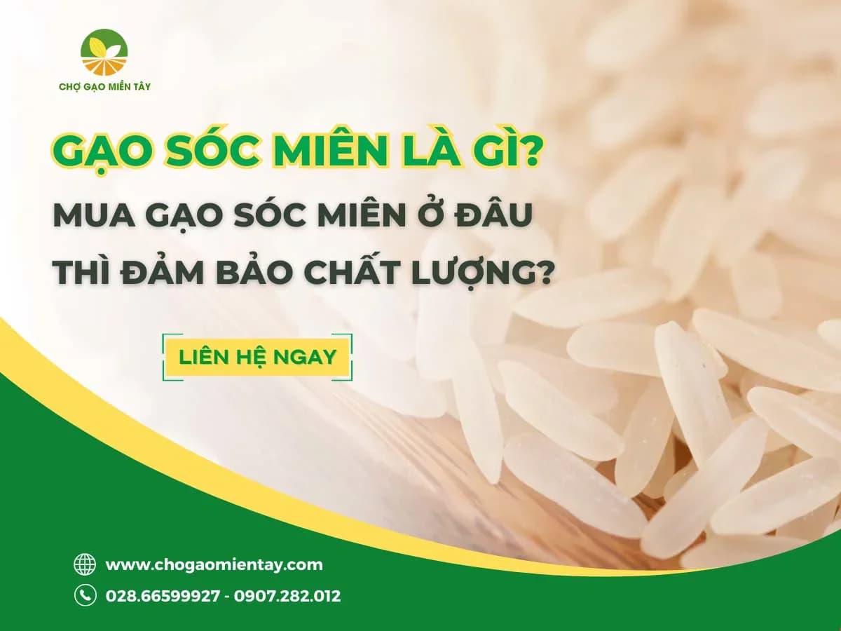 Gạo Sóc Miên là gì? Mua gạo Sóc Miên ở đâu thì đảm bảo chất lượng?