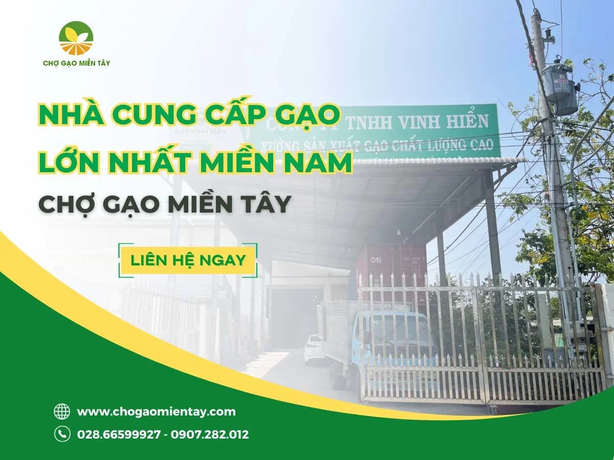 Nhà cung cấp gạo lớn nhất miền Nam - Chợ Gạo Miền Tây