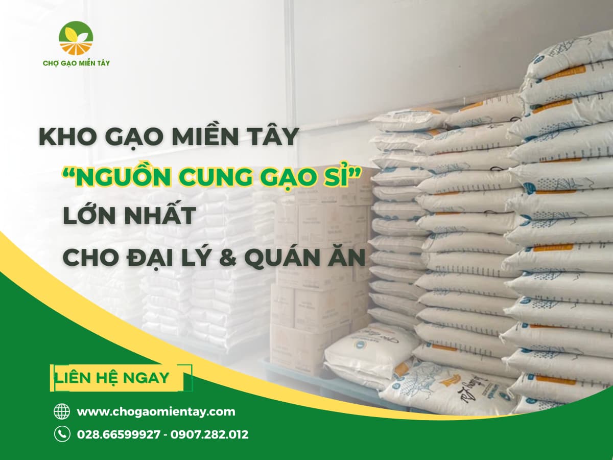 KHO GẠO MIỀN TÂY- NGUỒN CUNG GẠO SỈ LỚN NHẤT CHO ĐẠI LÝ & QUÁN ĂN