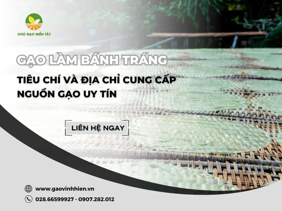 Chọn gạo làm bánh tráng