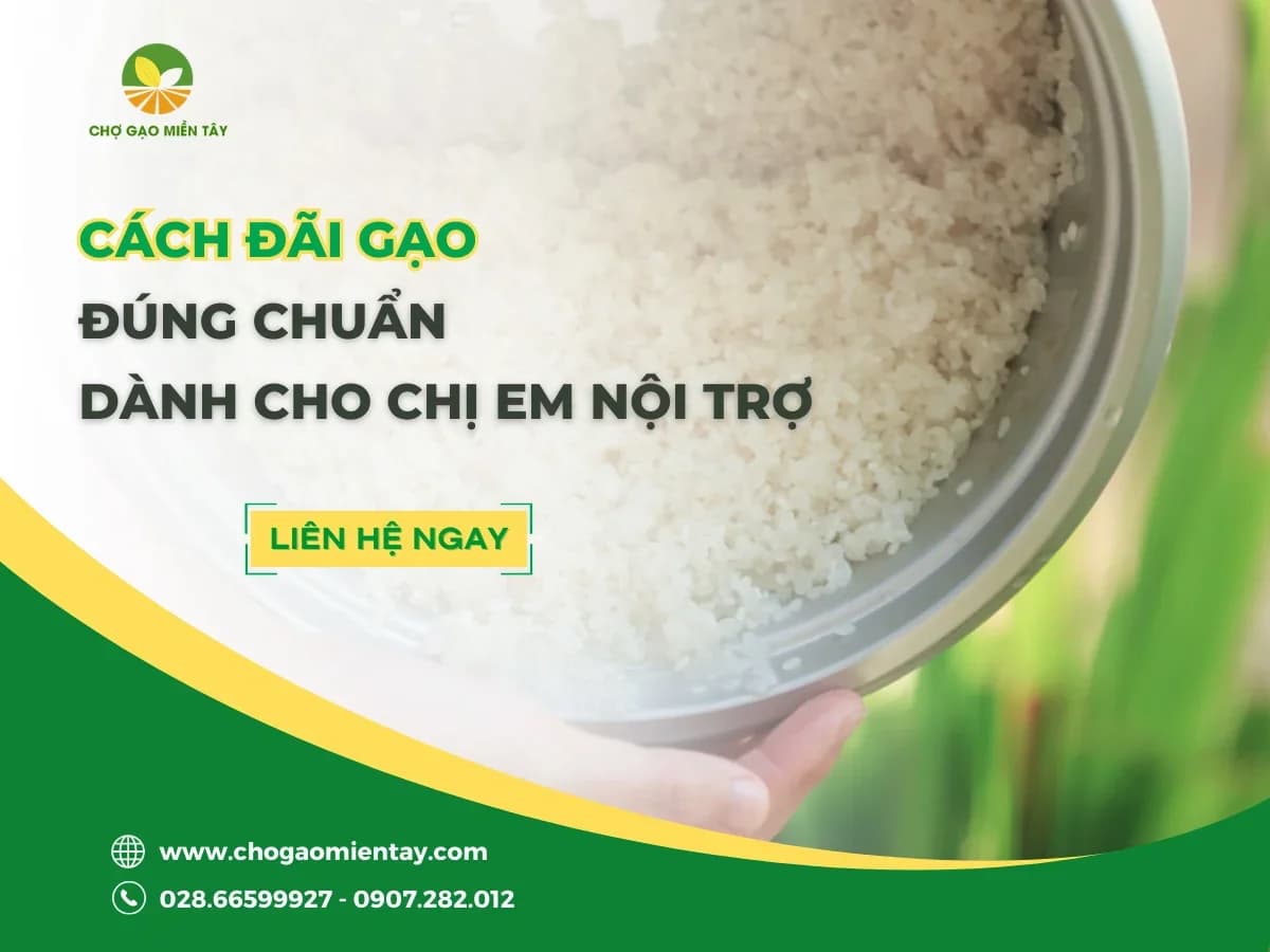 Cách Đãi Gạo Đúng Chuẩn Dành Cho Chị Em Nội Trợ
