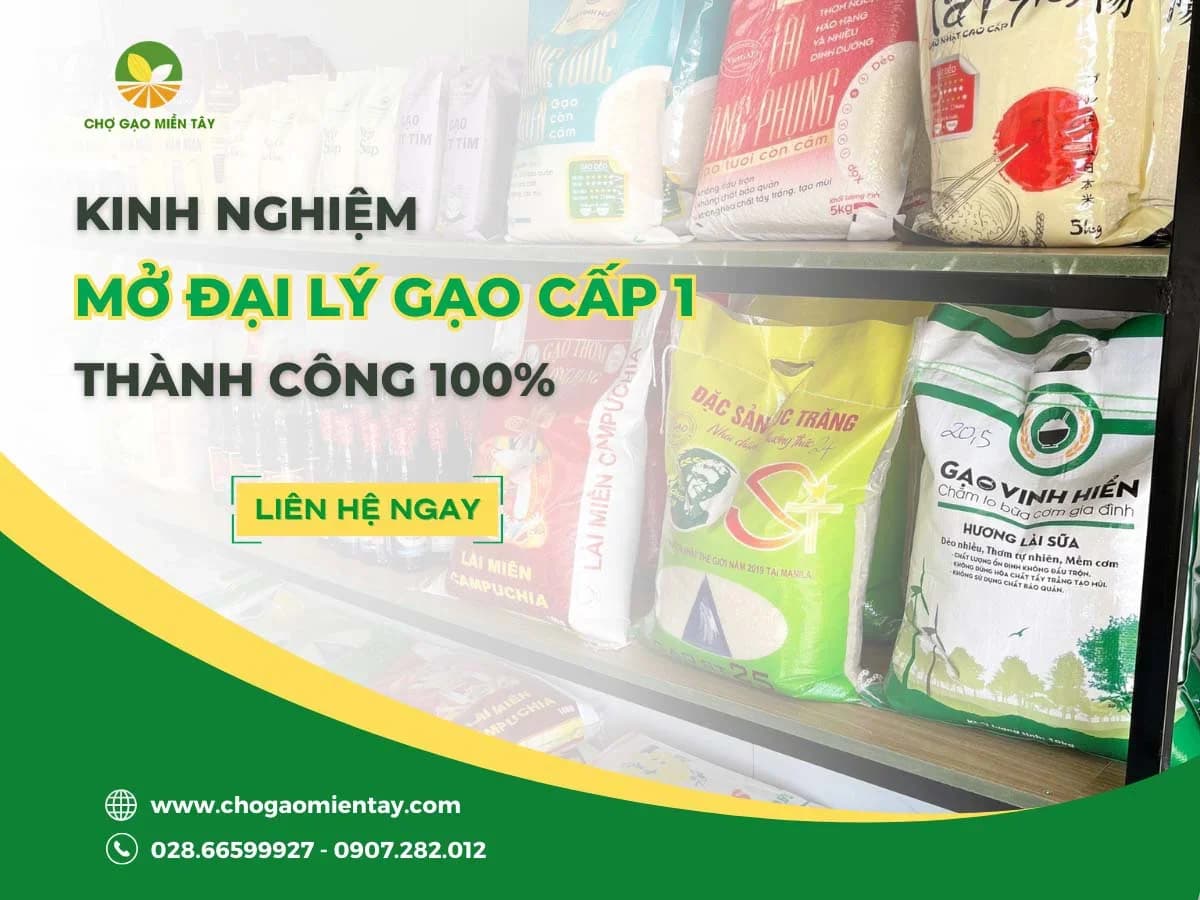 Kinh nghiệm mở đại lý gạo cấp 1 thành công 100%