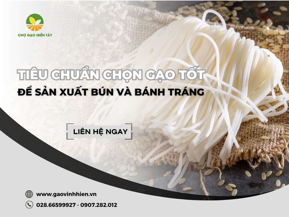 Tiêu chuẩn chọn gạo để để sản xuất bún và bánh tráng