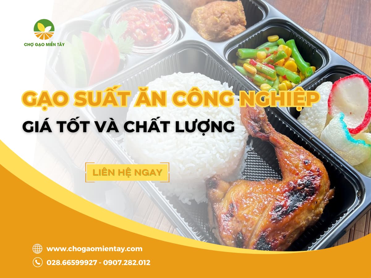 Gạo Suất Ăn Công Nghiệp Giá Sỉ, Chất Lượng