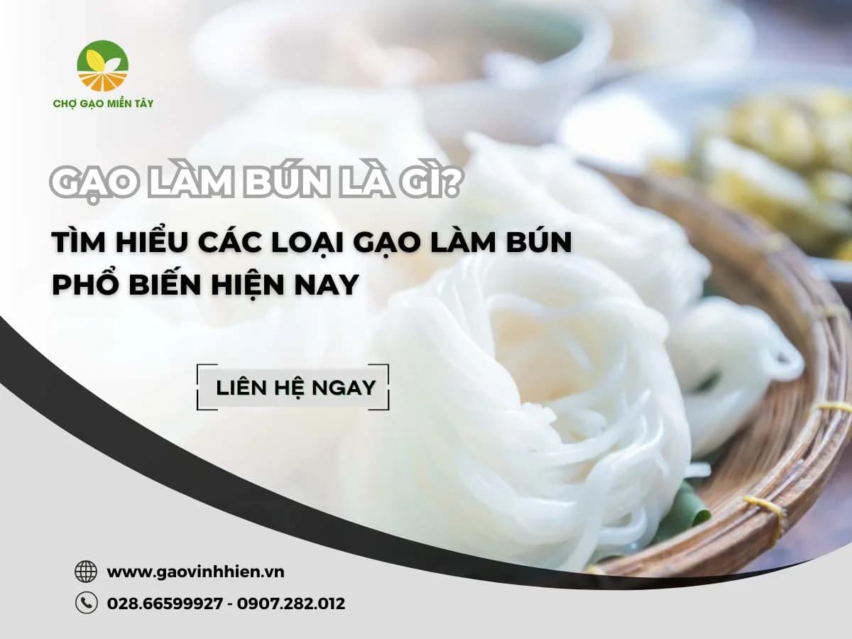 Gạo làm bún là gì? Bảng giá các loại gạo làm bún phổ biến