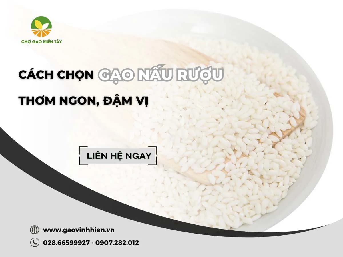 Cách chọn gạo nấu rượu hiệu suất cao, tiết kiệm nguyên liệu