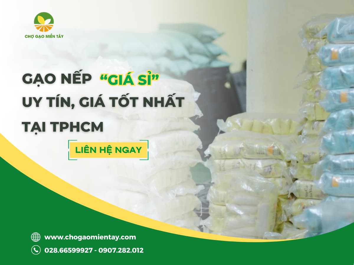 Gạo nếp giá sỉ: Giá tốt, chất lượng ổn định cho quán xôi & nhà hàng
