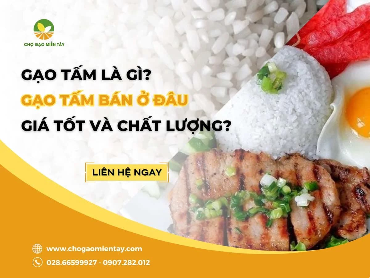 Gạo tấm bán ở đâu? Mua gạo tấm cho quán cơm tấm