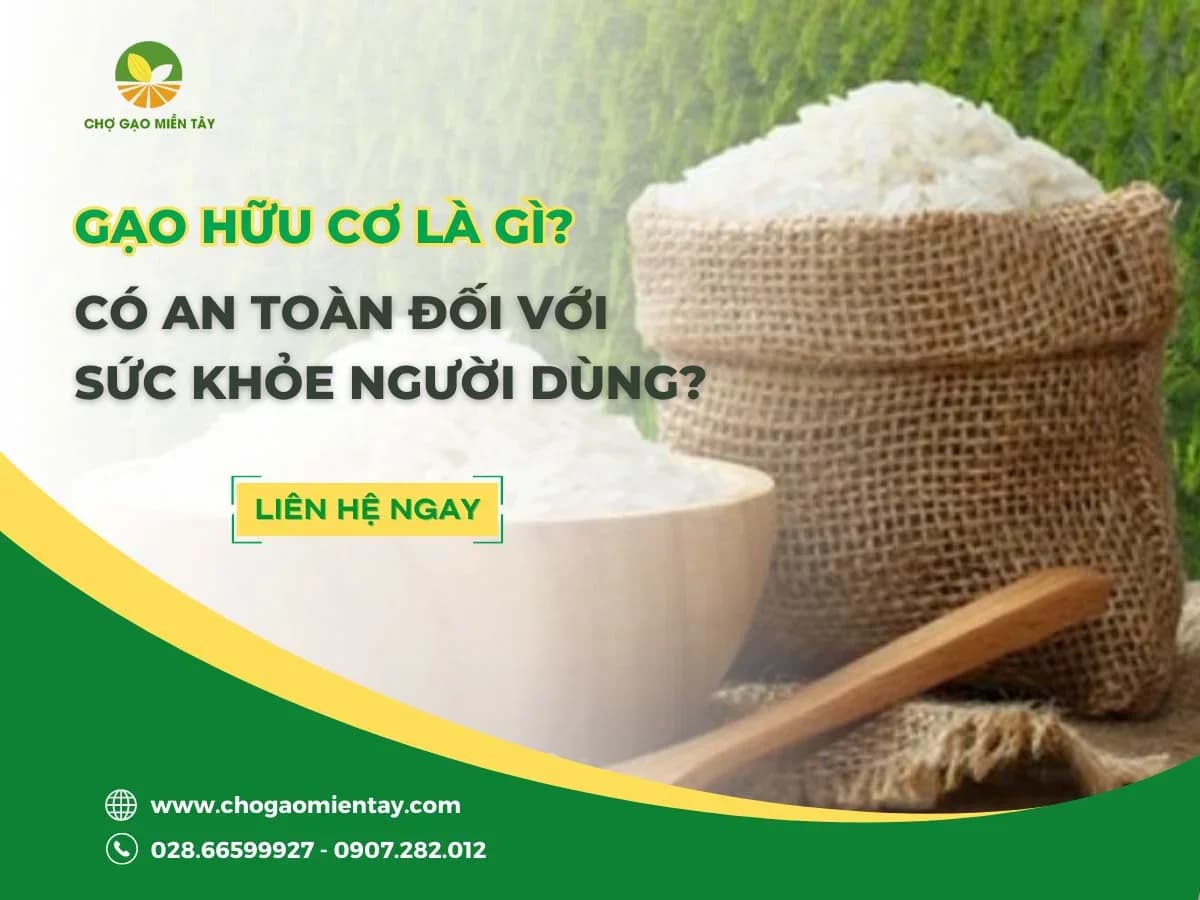 Gạo hữu cơ là gì? Có an toàn đối với sức khỏe người dùng?