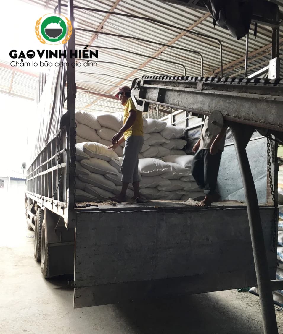Cung cấp gạo từ thiện giá chỉ từ 9000 đồng