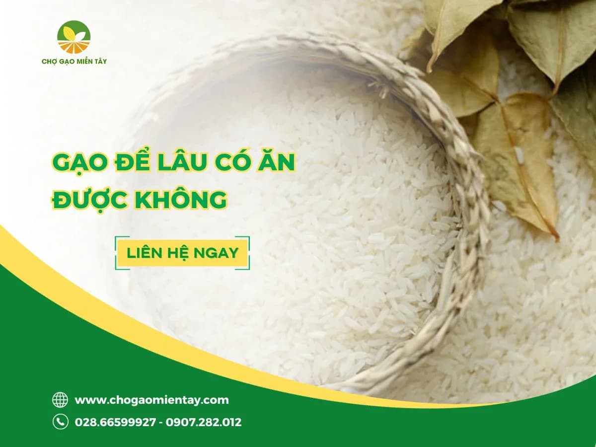 Gạo để lâu có ăn được không? Gạo để được bao lâu?
