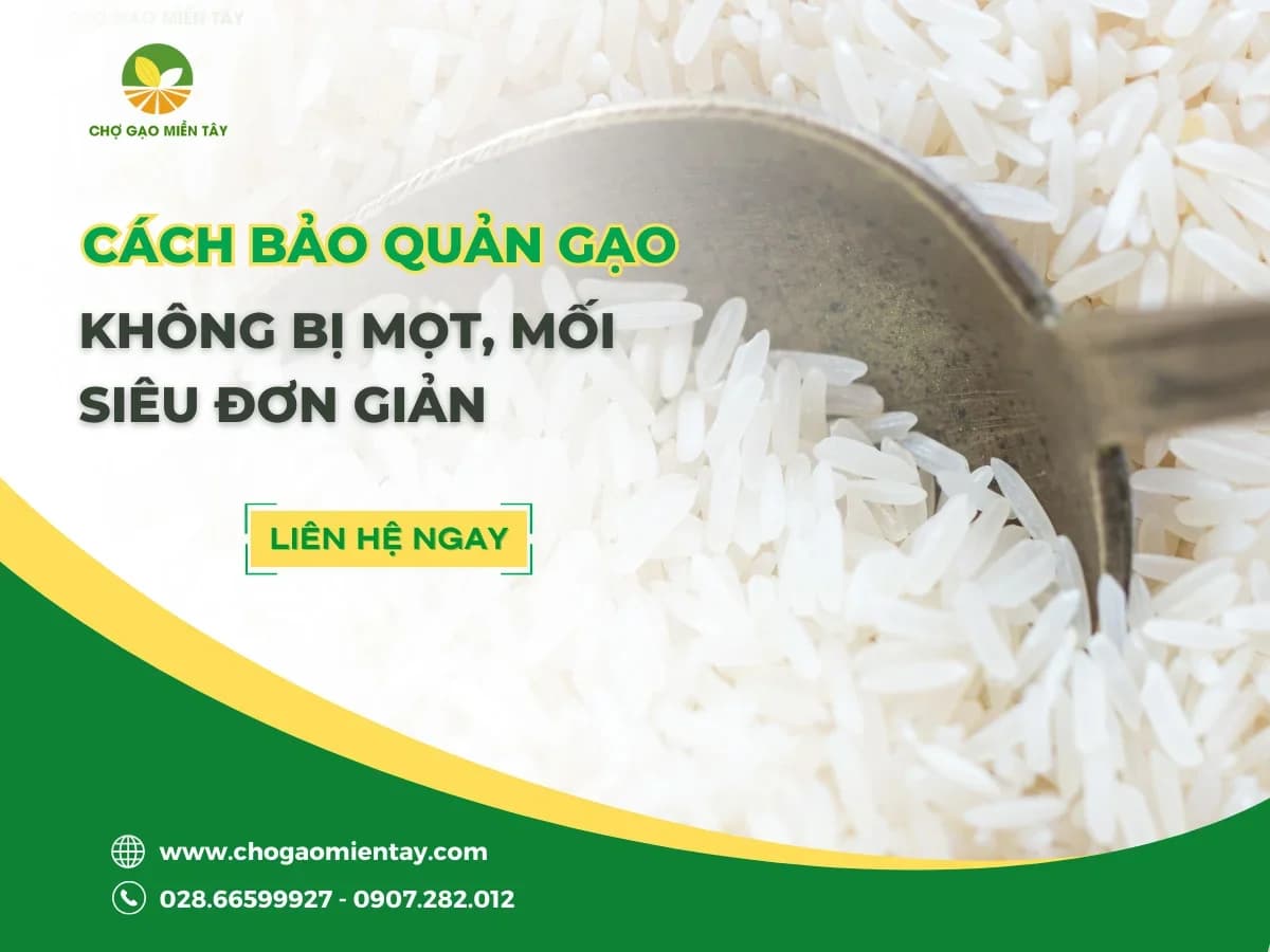 Bí quyết bảo quản gạo được lâu cả năm vẫn không bị sâu mọt