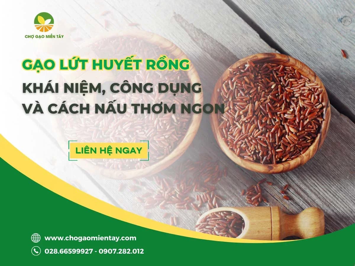 Gạo lứt huyết rồng là gì? Công dụng & Tác dụng đối với cơ thể