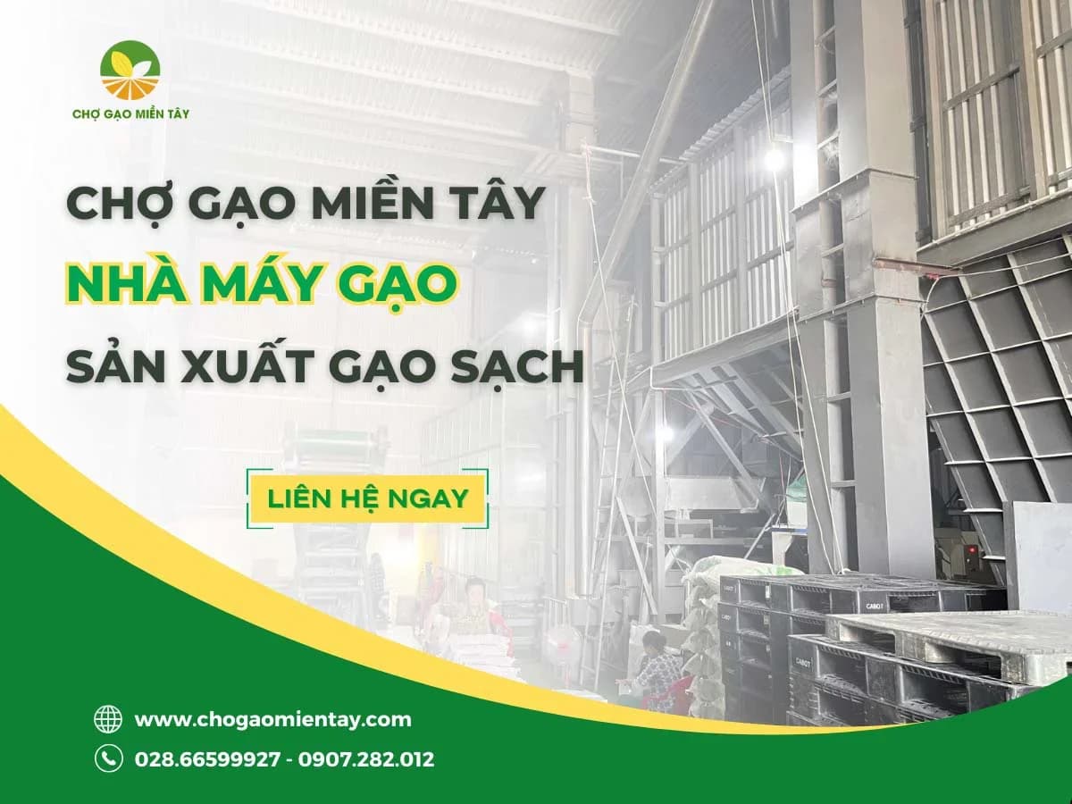Chợ Gạo Miền Tây - Nhà máy gạo sản xuất gạo sạch, chất lượng