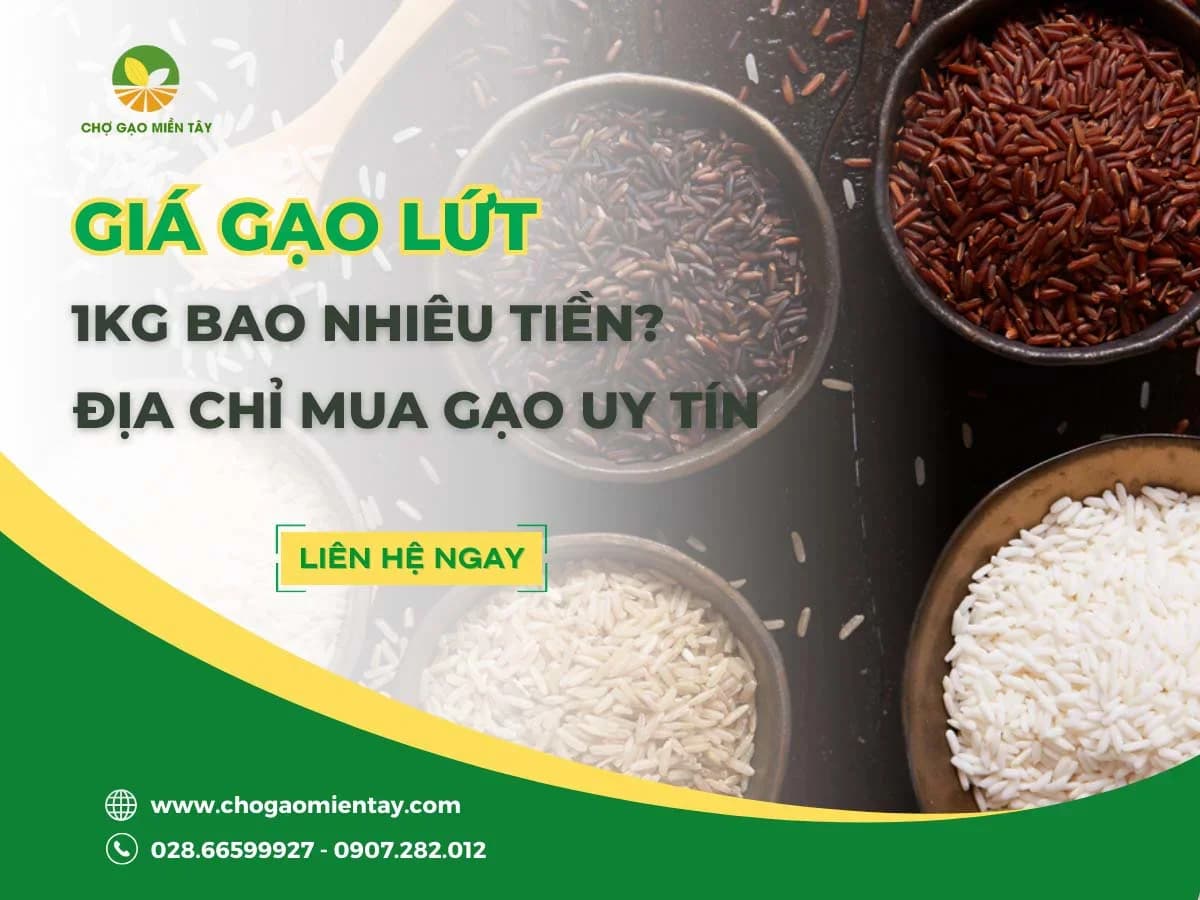 Giá gạo lứt 1kg bao nhiêu tiền? Địa chỉ mua gạo lứt uy tín