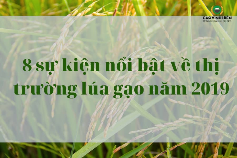 8 sự kiện nổi bật về ngành lúa gạo năm 2019