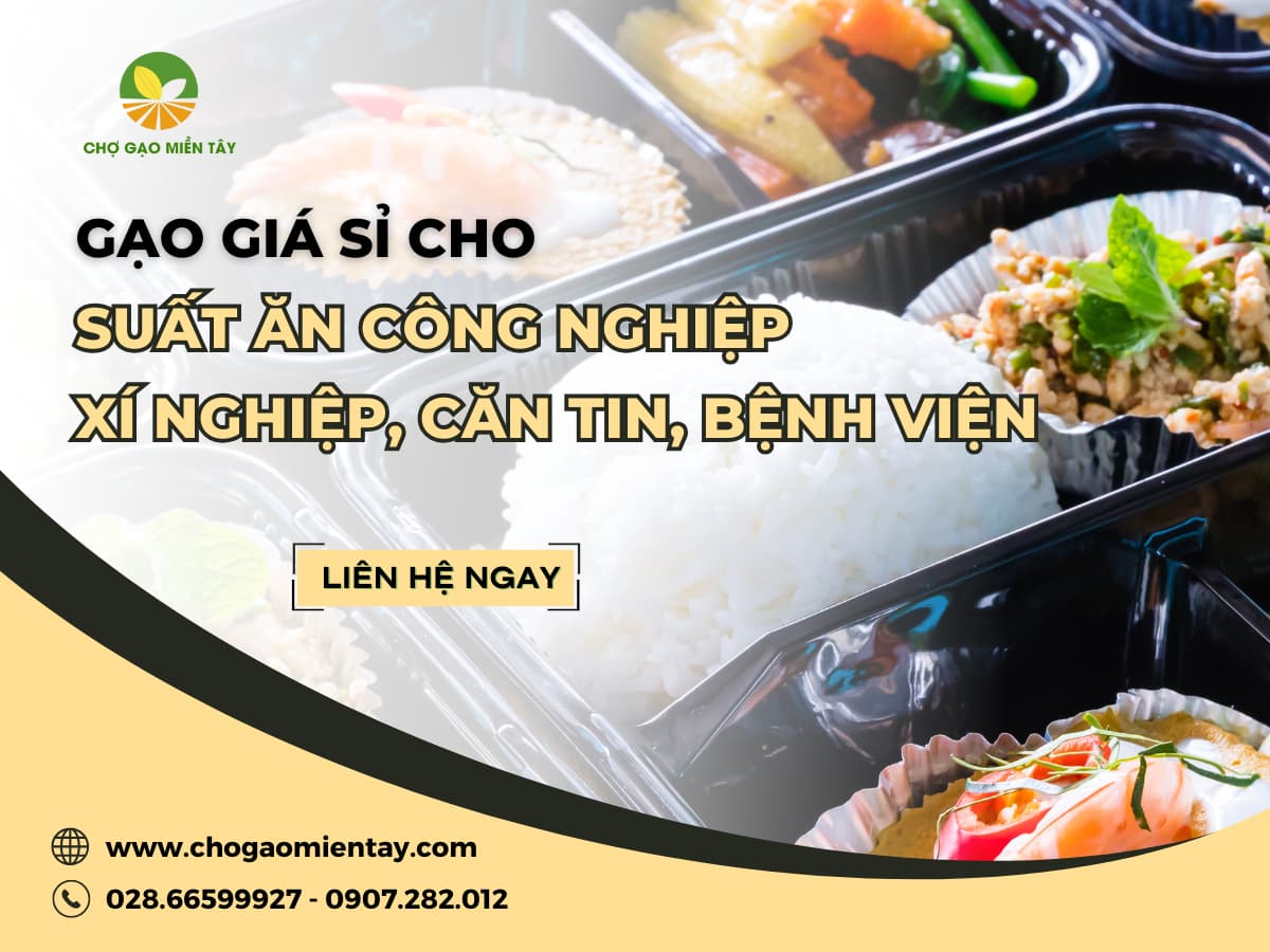 Gạo Giá Nhà Máy Cho Suất Ăn Công Nghiệp, Công Ty, Trường Học, Bệnh Viện