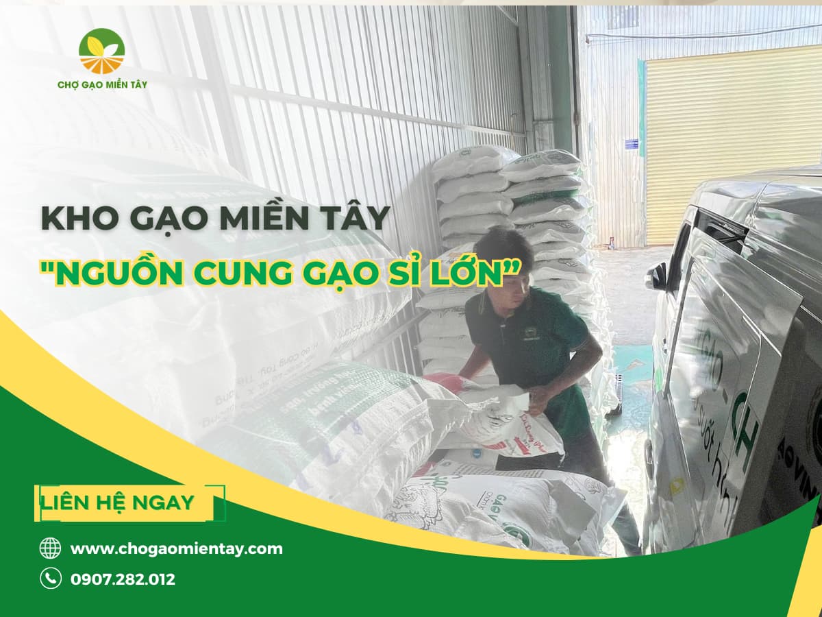 KHO GẠO MIỀN TÂY- NGUỒN CUNG GẠO SỈ LỚN CHO NHÀ HÀNG, QUÁN ĂN